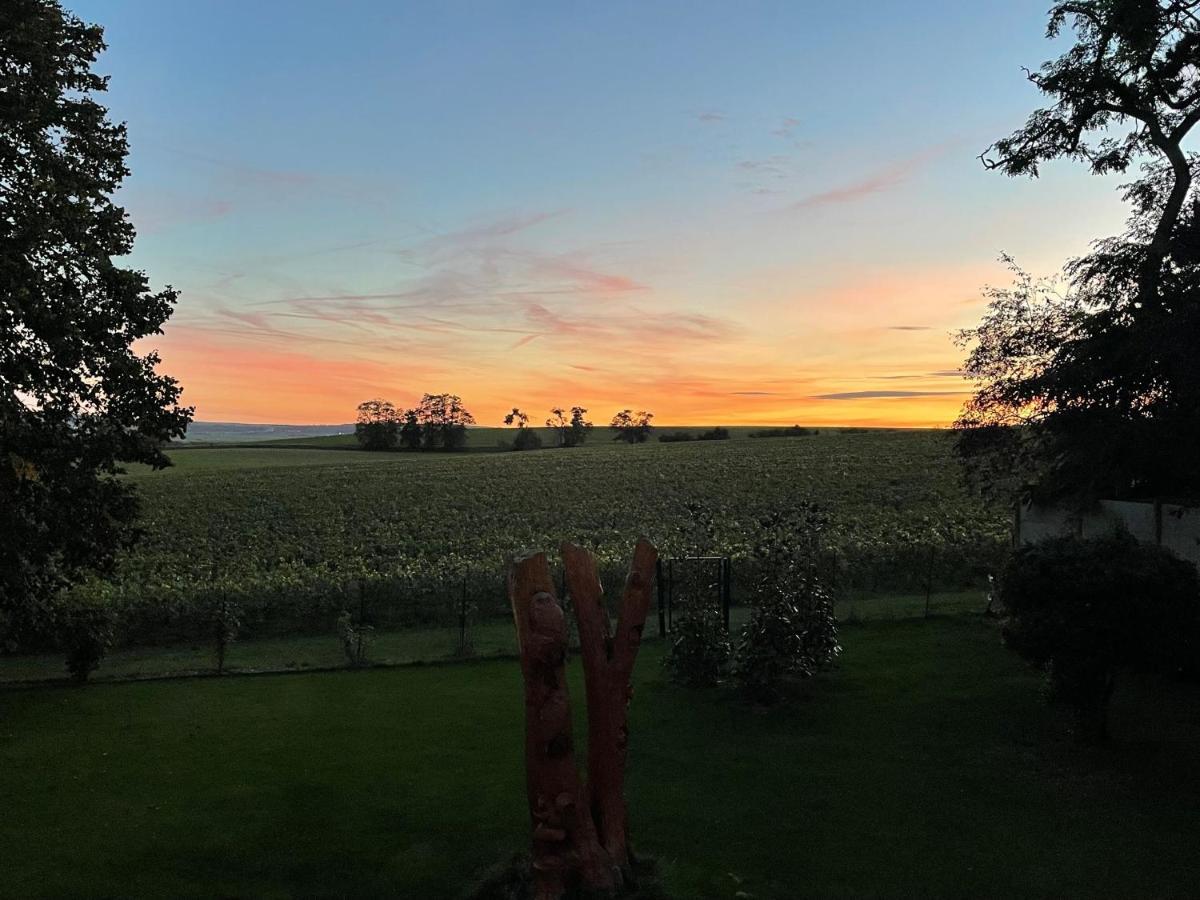 Best View, Pool And Spa On The Champagne Vineyard Saint-Thierry Exterior photo