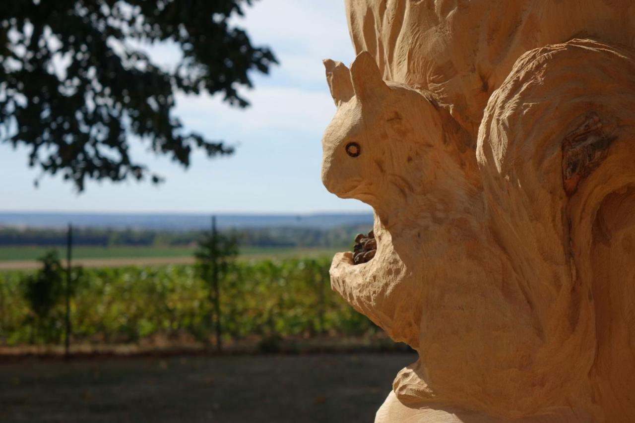 Best View, Pool And Spa On The Champagne Vineyard Saint-Thierry Exterior photo