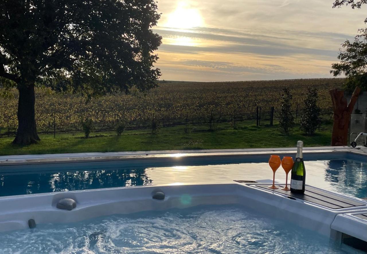 Best View, Pool And Spa On The Champagne Vineyard Saint-Thierry Exterior photo