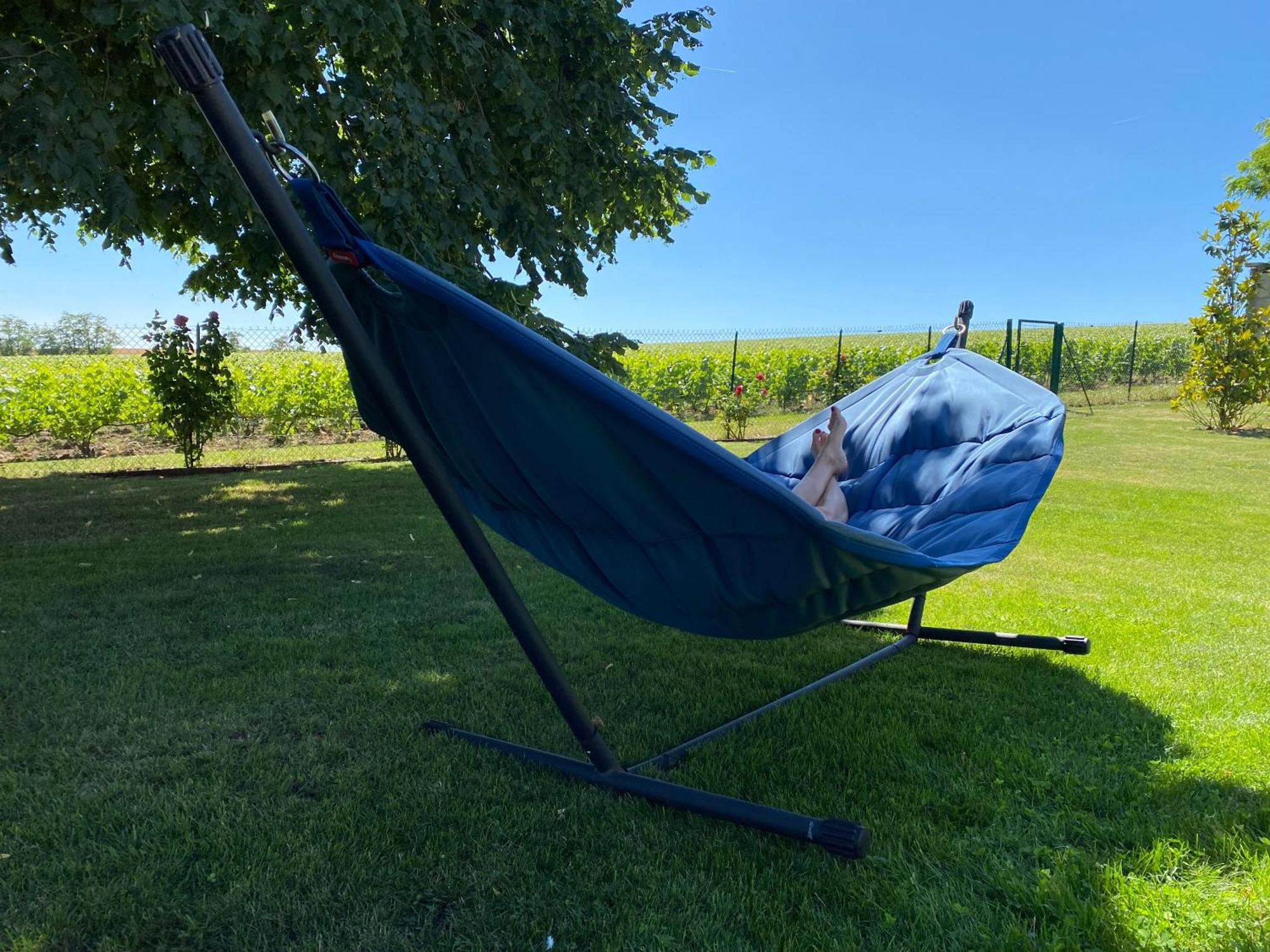 Best View, Pool And Spa On The Champagne Vineyard Saint-Thierry Exterior photo